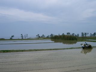 '05 5/1